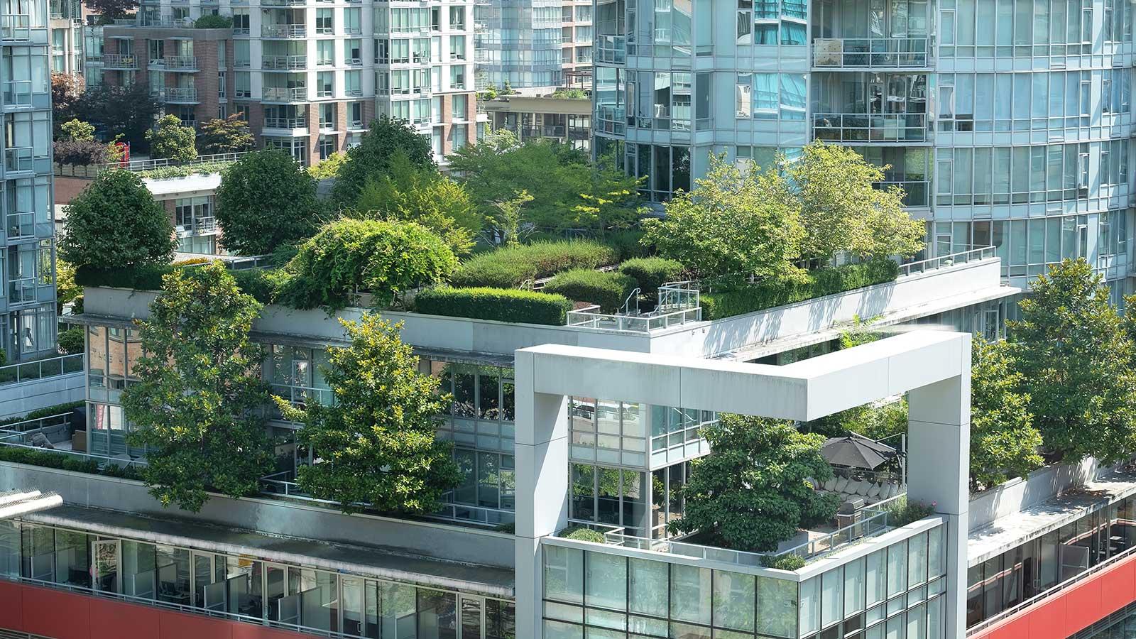 Trees and greenery on top of a city building representing Environmental-健康-Science program at Clarkson